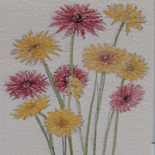 Load image into Gallery viewer, Plant Me seed cards
