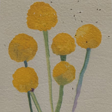 Load image into Gallery viewer, Plant Me seed cards